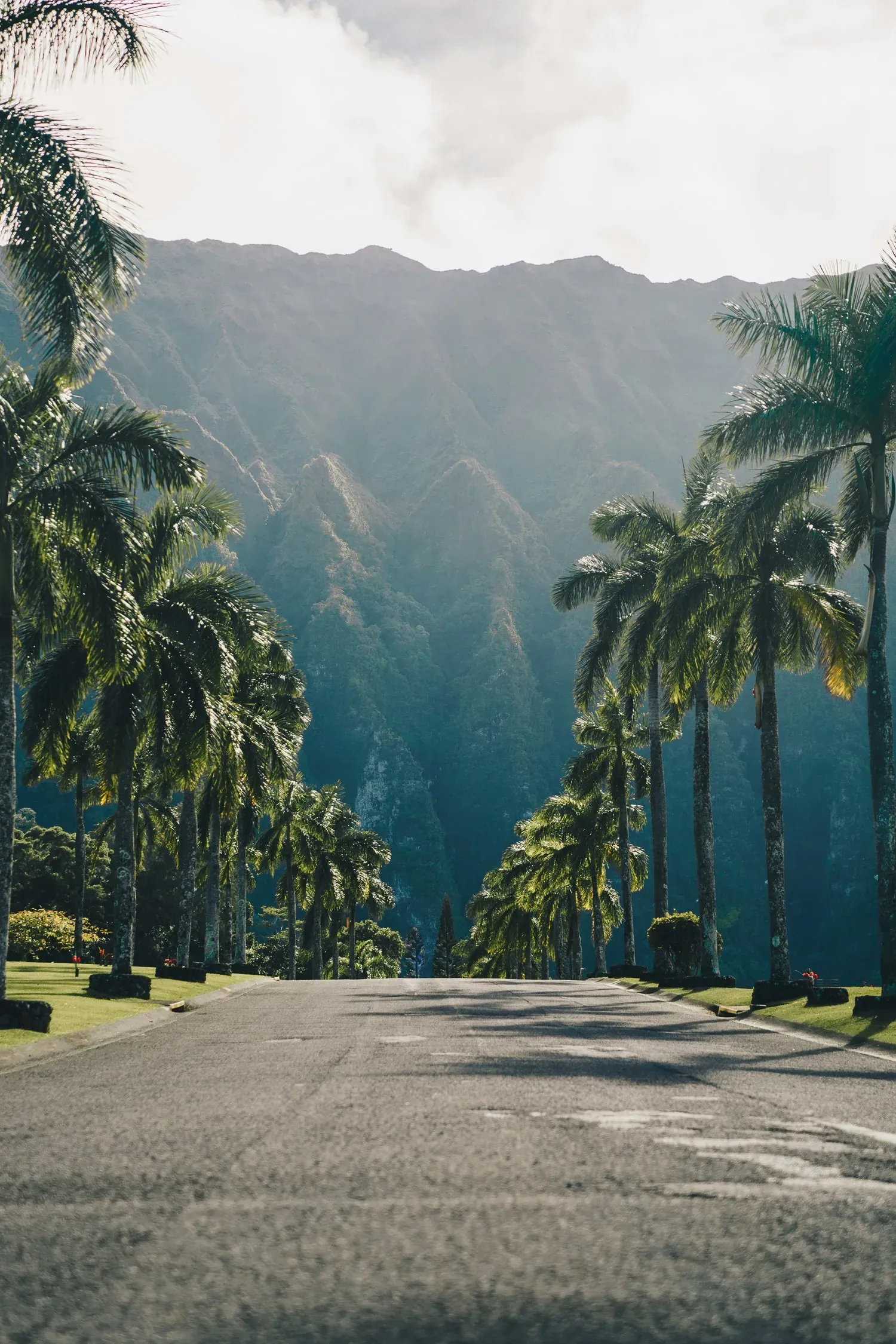 Valley of the Temples, Kaneohe, Hawaii. Palm trees road.