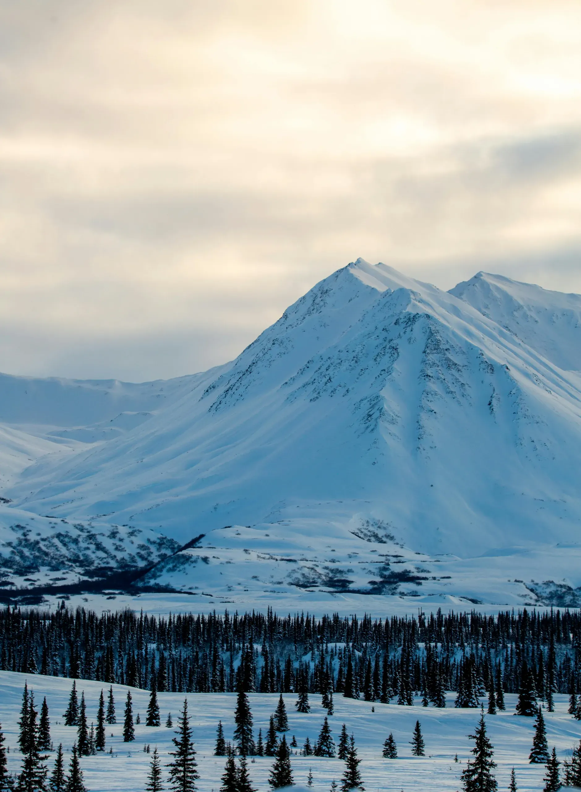 Trapper Creek, AK, United States