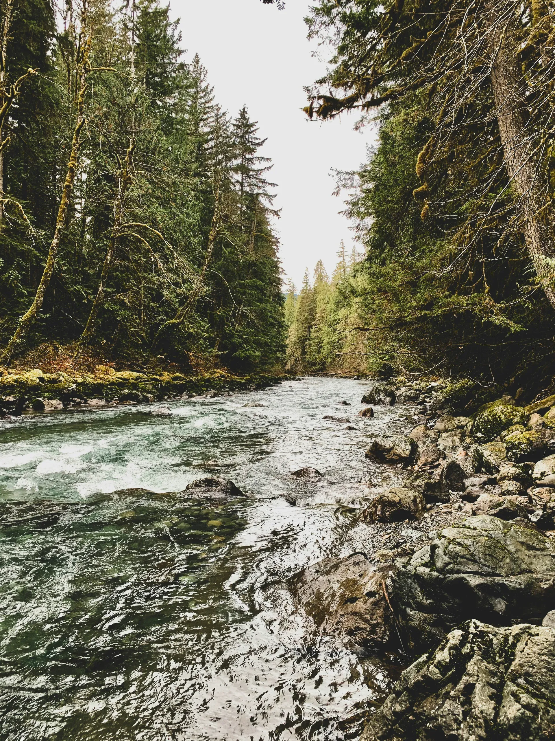 Nooksack River, Mt Baker, Washington
