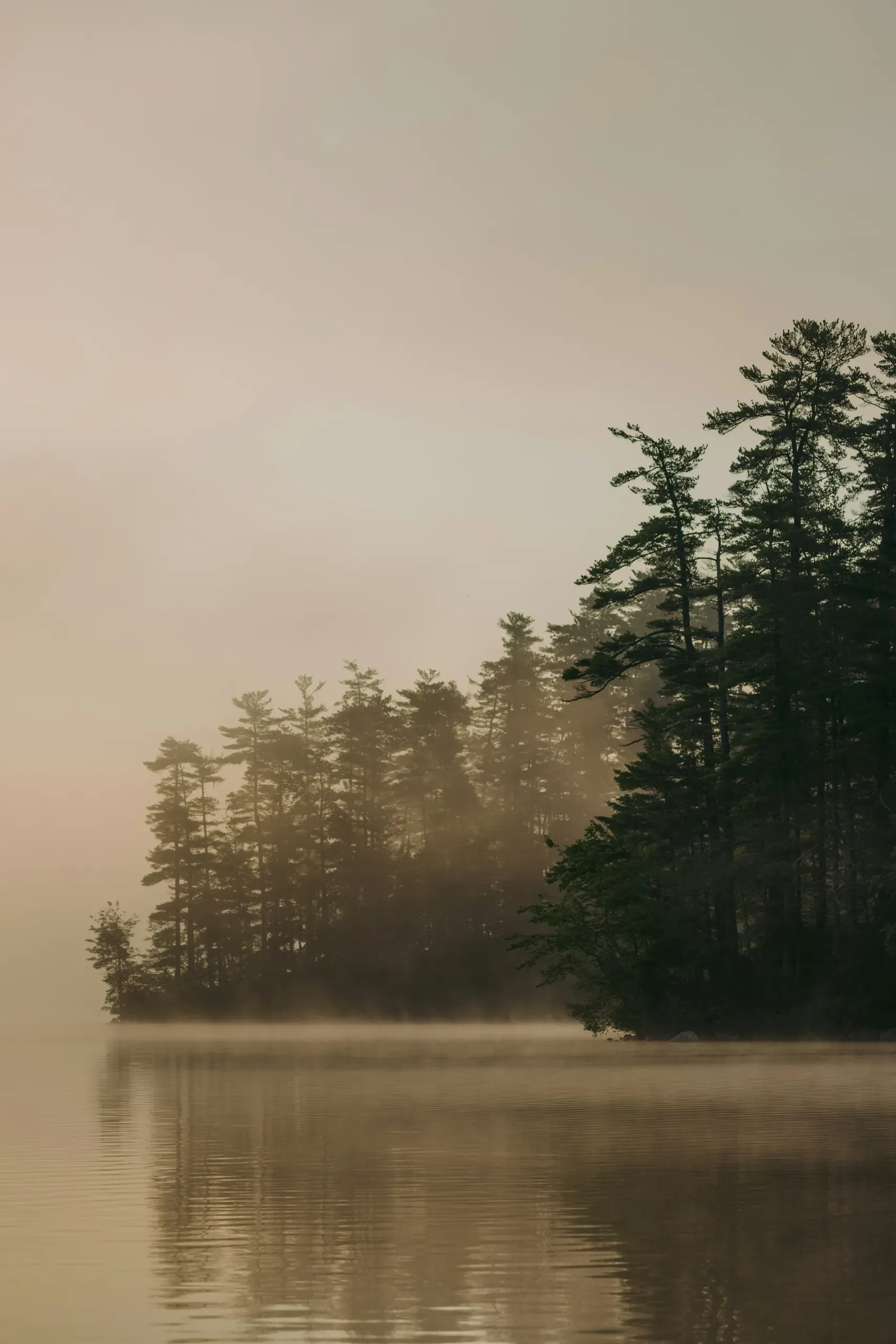A foggy, early summer morning on a lake in Maine, with green trees on the far shore reflected in the calm water.