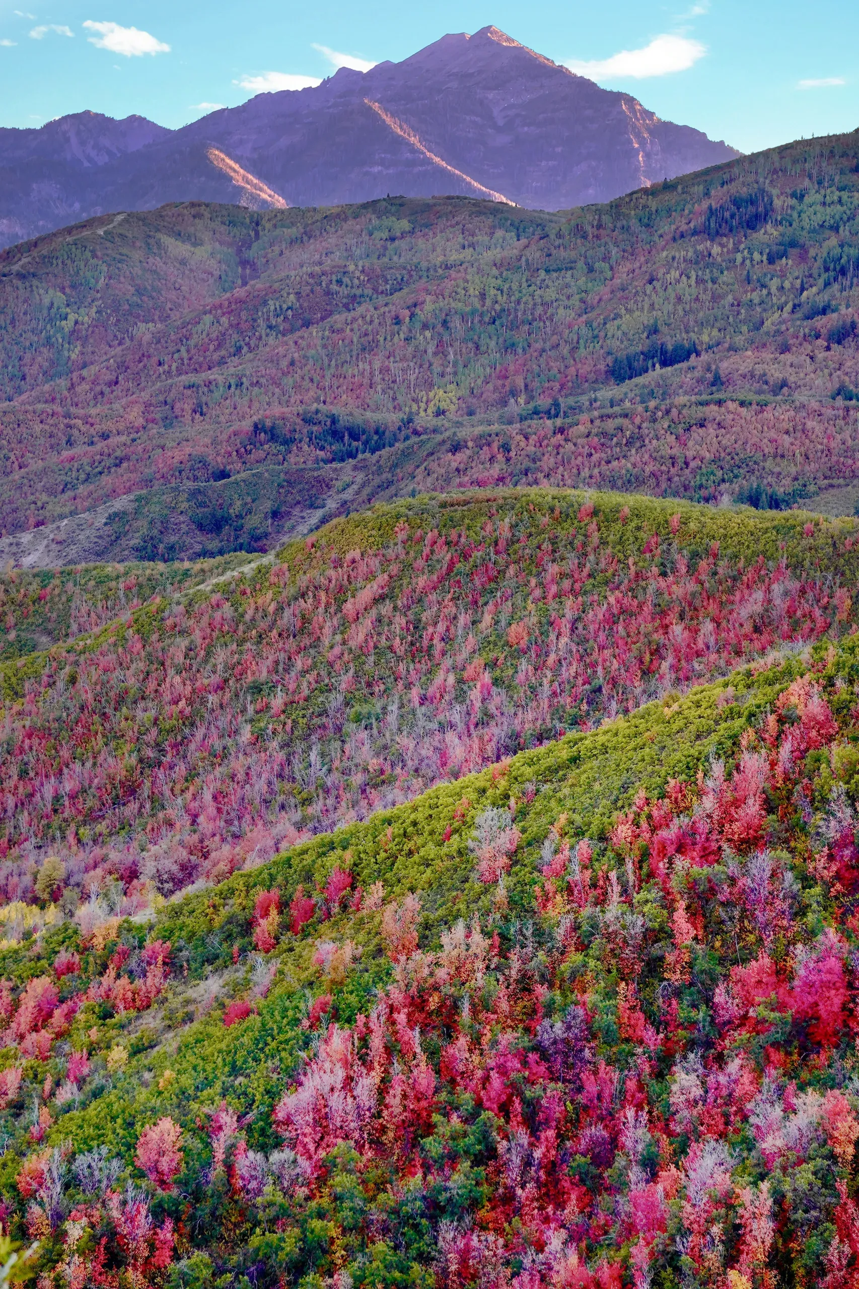 Autumn colors in the beautiful back mountains of the Alpine Loop, near Cascade Springs in North Central Utah. The mountain shown is Mount Timpanogos.
