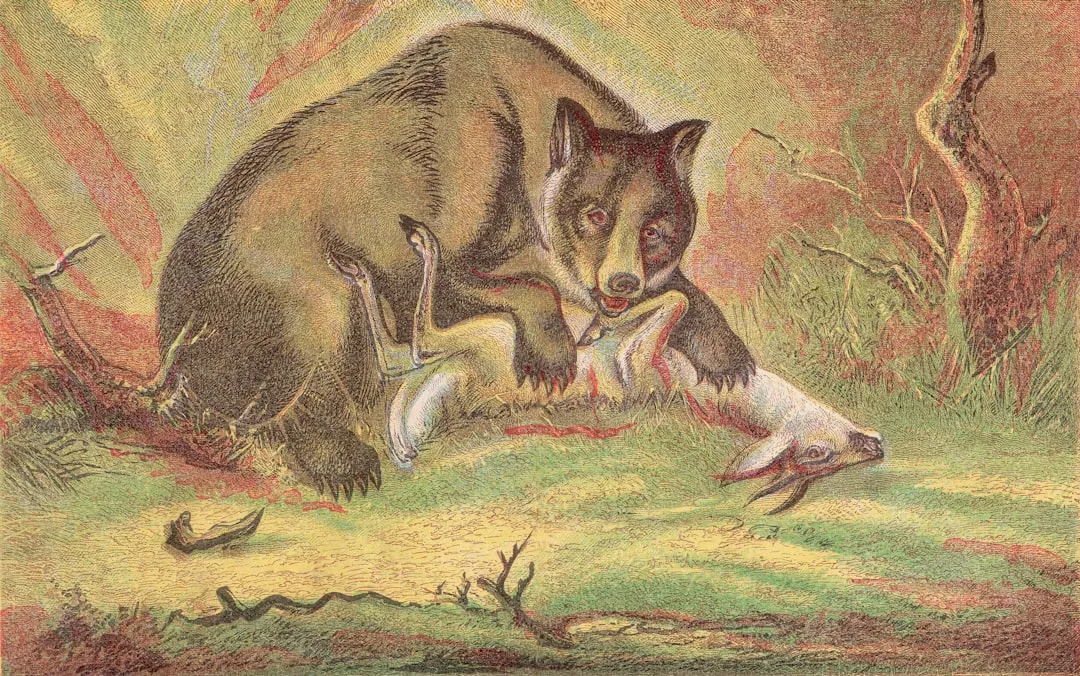 Tasmanian devil