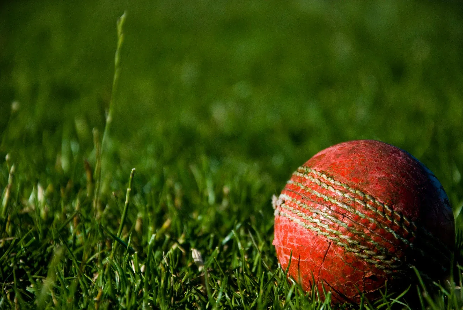 A worn red cricket ball resting on green grass in warm sunlight