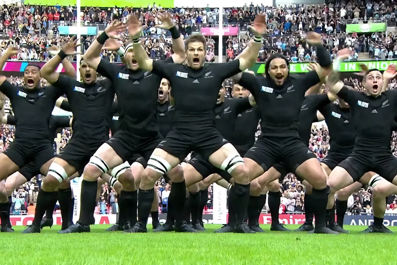 The New Zealand All Blacks performing the haka before a match, arms raised and faces fierce, with a packed stadium behind them