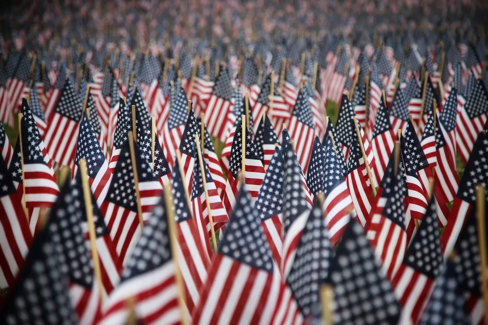 Hundreds of small American flags planted in rows on Beacon Hill, Boston on Memorial Day