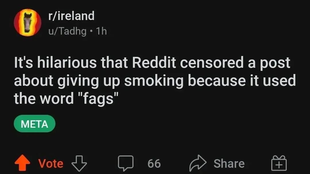 Reddit post from r/ireland: 'It's hilarious that Reddit censored a post about giving up smoking because it used the word fags'