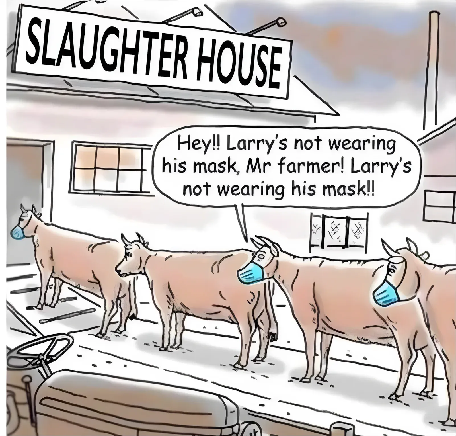 Cartoon of cows walking into a slaughterhouse, all wearing face masks. One cow reports to the farmer: Hey Larry's not wearing his mask Mr farmer! Larry's not wearing his mask!