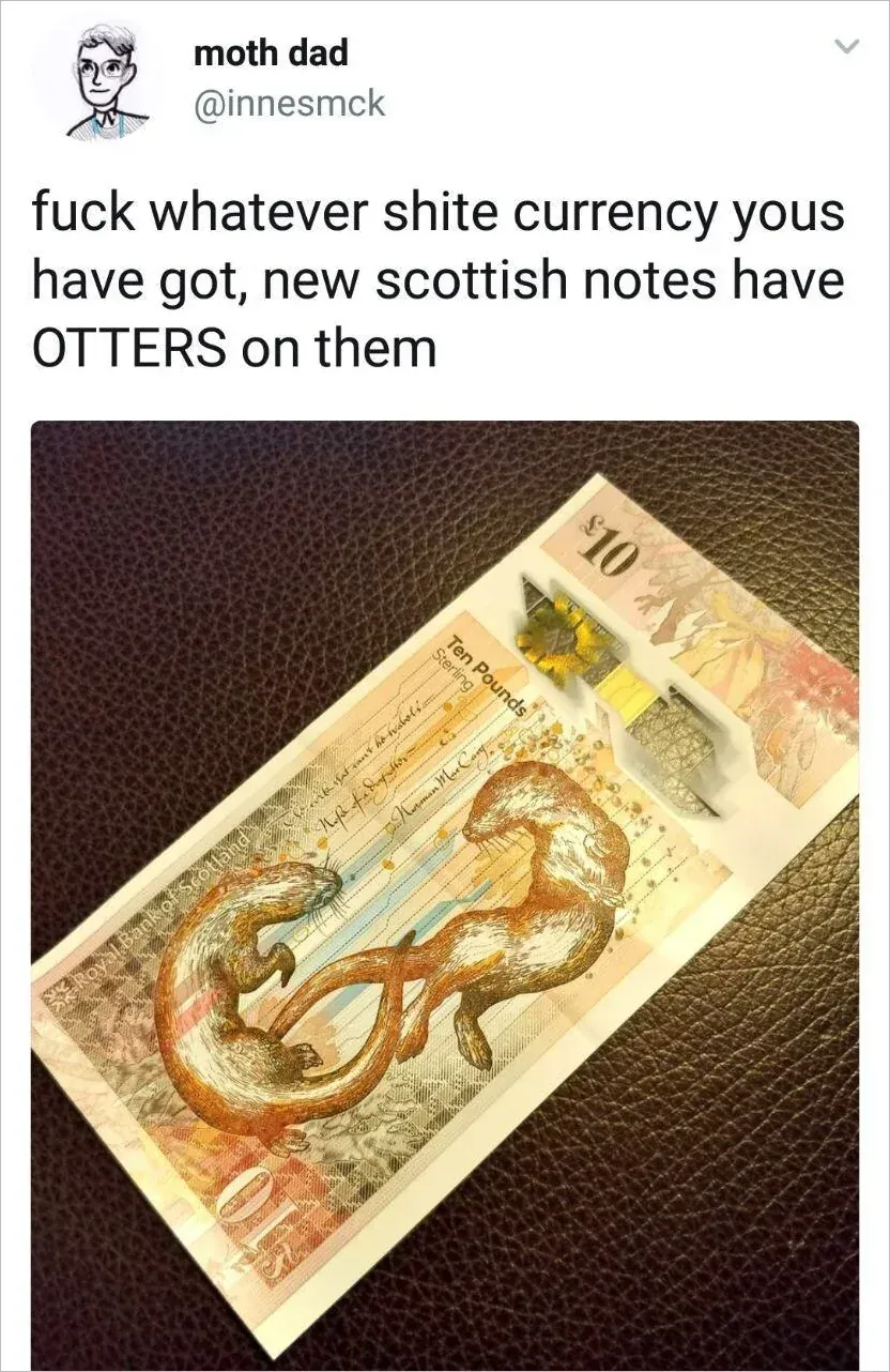 A screenshot of a Tweet with a photo of a Scottish £10 note with the words: "fuck whatever shite currency yous have got, new scottish notes have OTTERS on them"