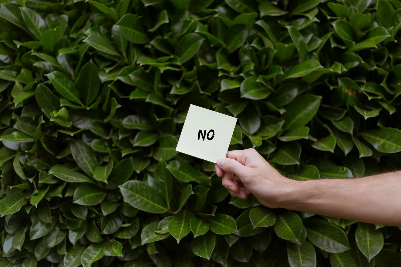 A hand holding up a small card reading 'NO' against a wall of green leaves