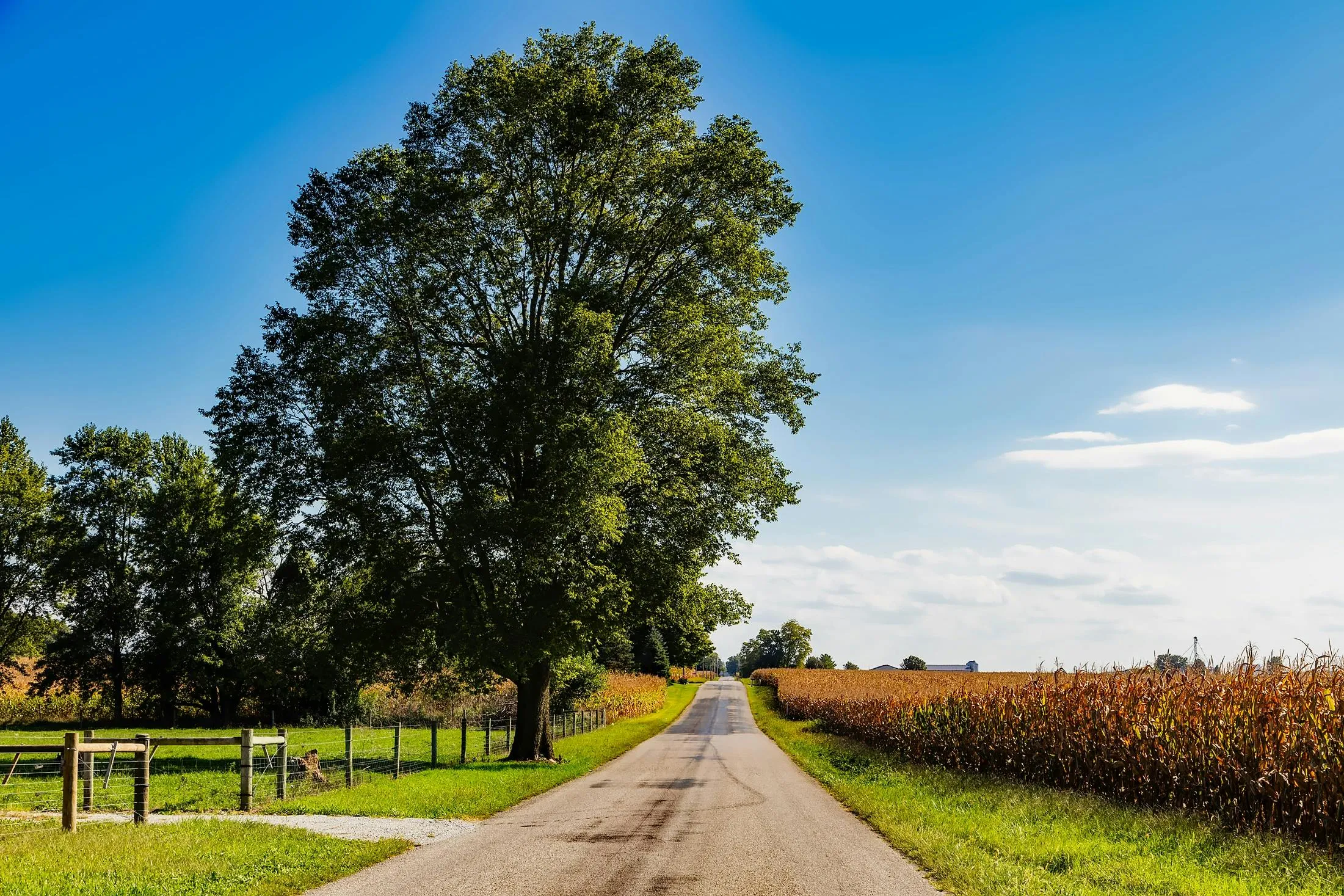 Flora, Indiana