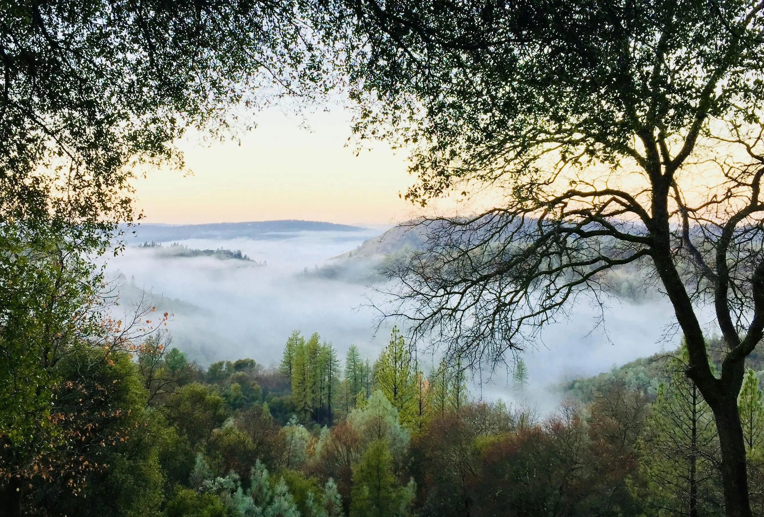 Garden Valley, California. Photo of mountain covered with mist