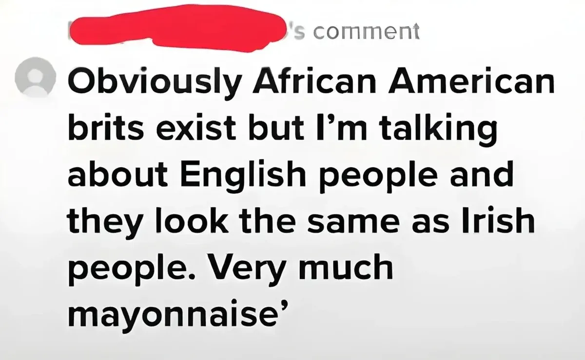 Screenshot of a comment with username redacted. Text reads: "Obviously African American brits exist but I'm talking about English people and they look the same as Irish people. Very much mayonnaise'"
