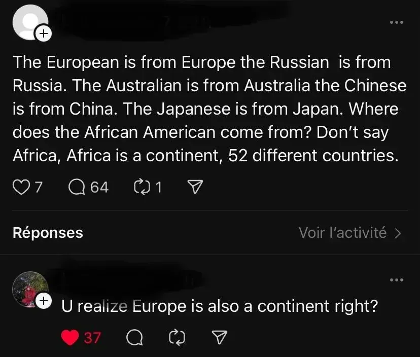 Instagram/Threads post. Comment: "The European is from Europe the Russian is from Russia. The Australian is from Australia the Chinese is from China. The Japanese is from Japan. Where does the African American come from? Don't say Africa, Africa is a continent, 52 different countries." Interface in French. Reply: "U realize Europe is also a continent right?"