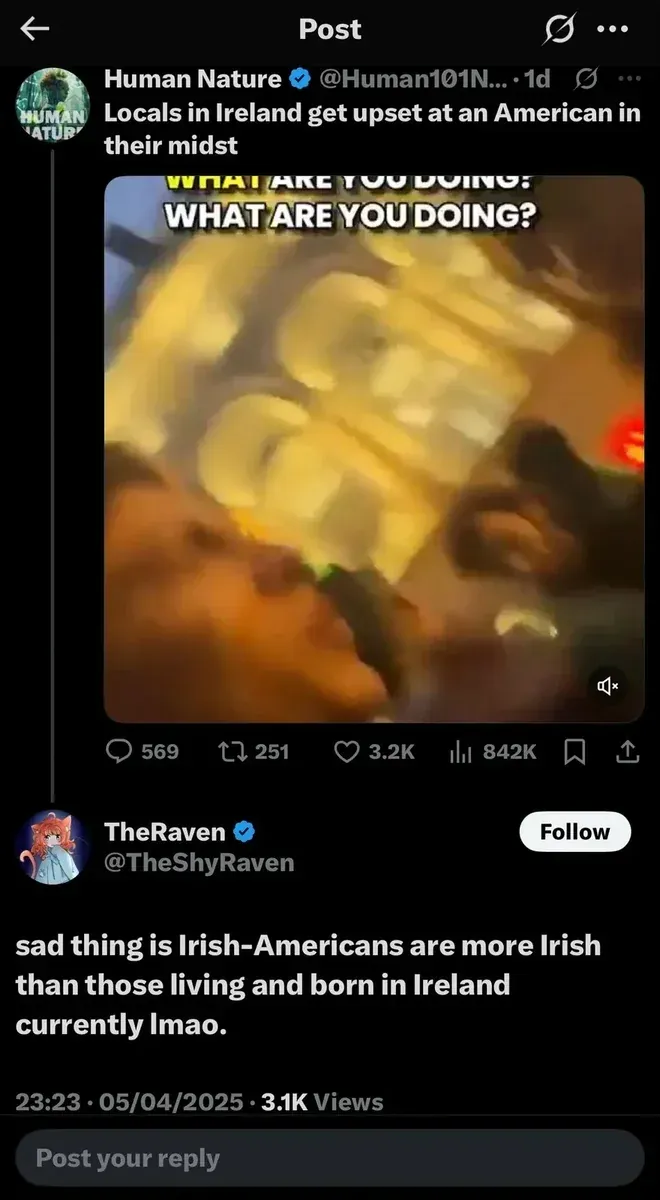 X/Twitter thread. @Human101N... (Human Nature, verified, 1d): "Locals in Ireland get upset at an American in their midst" with blurry video showing text "WHAT ARE YOU DOING? WHAT ARE YOU DOING?". Reply from @TheShyRaven (TheRaven, verified, 23:23, 05/04/2025): "sad thing is Irish-Americans are more Irish than those living and born in Ireland currently lmao."