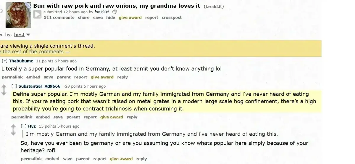 Reddit comment thread on post "Bun with raw pork and raw onions, my grandma loves it" by fsv1905 (12h ago). Thebubumc (6h ago): "Literally a super popular food in Germany, at least admit you don't know anything lol". Substantial_Ad9666 (-23 points, 6h ago, highlighted): "Define super popular. I'm mostly German and my family immigrated from Germany and i've never heard of eating this. If you're eating pork that wasn't raised on metal grates in a modern large scale hog confinement, there's a high probability you're going to contract trichinosis when consuming it." Hyz (5h ago): "So, have you ever been to germany or are you assuming you know whats popular here simply because of your heritage? rofl"