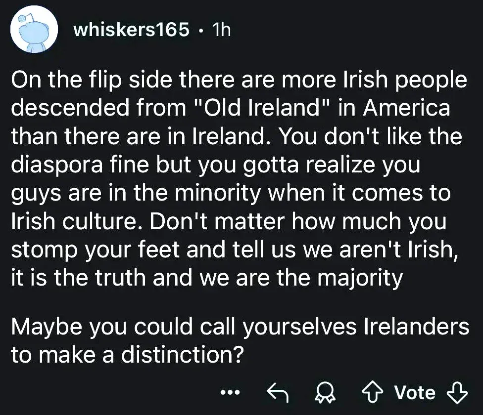 Reddit comment from whiskers165 (1h): "On the flip side there are more Irish people descended from 'Old Ireland' in America than there are in Ireland. You don't like the diaspora fine but you gotta realize you guys are in the minority when it comes to Irish culture. Don't matter how much you stomp your feet and tell us we aren't Irish, it is the truth and we are the majority Maybe you could call yourselves Irelanders to make a distinction?"