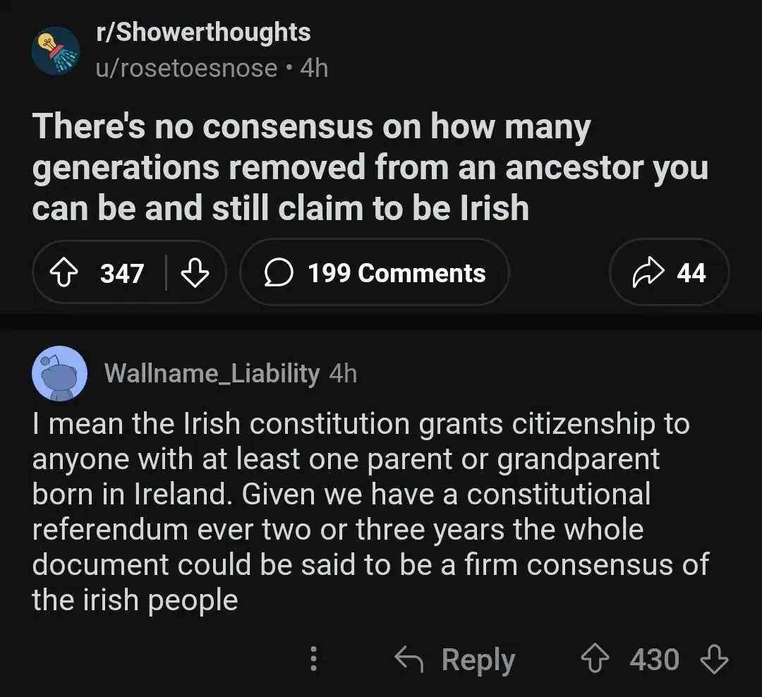 Reddit post from r/Showerthoughts by u/rosetoesnose (4h). Title: "There's no consensus on how many generations removed from an ancestor you can be and still claim to be Irish". Comment from Wallname_Liability (4h): "I mean the Irish constitution grants citizenship to anyone with at least one parent or grandparent born in Ireland. Given we have a constitutional referendum ever two or three years the whole document could be said to be a firm consensus of the irish people"