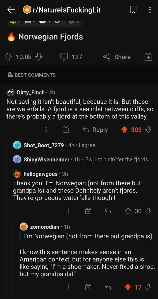 Reddit post from r/AmericaBad (5h). Title: "Funny seeing people make fun of Americans saying they're Irish, then Irish/Brits go and support Palestine". Text: "The biggest thing on European reddit is laughing at Americans who claim to be Irish or Italian, only to turn around and claim to be from a 'Celtic nation' or support Palestine, a place that isn't their homeland. The Irish have been going bonkers recently about Palestine and it's ironic that they get to identify with one culture but Americans can't."