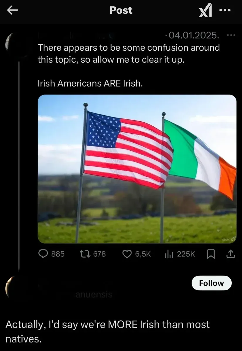 X/Twitter post (04.01.2025): "There appears to be some confusion around this topic, so allow me to clear it up. Irish Americans ARE Irish." with AI-generated image of American and Irish flags side by side on a green field. Reply: "Actually, I'd say we're MORE Irish than most natives."