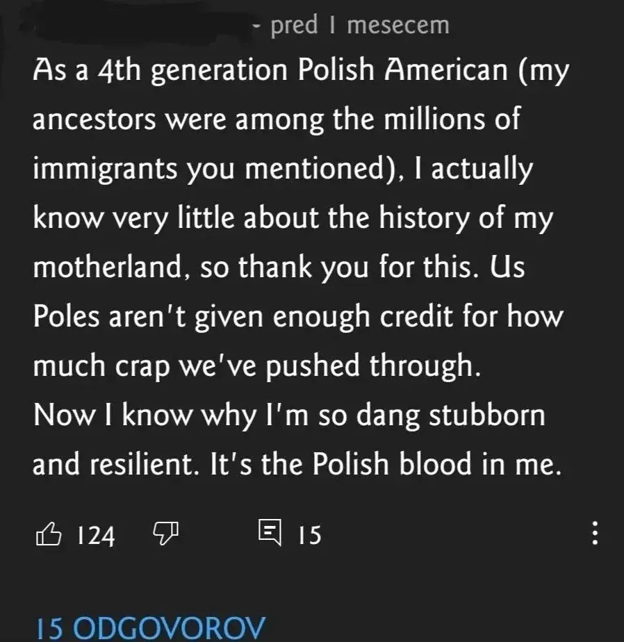 YouTube comment (username redacted, "pred 1 mesecem" - Slovenian/Croatian for "1 month ago"): "As a 4th generation Polish American (my ancestors were among the millions of immigrants you mentioned), I actually know very little about the history of my motherland, so thank you for this. Us Poles aren't given enough credit for how much crap we've pushed through. Now I know why I'm so dang stubborn and resilient. It's the Polish blood in me." Interface shows "15 ODGOVOROV"