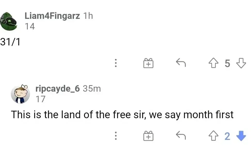 Reddit comment thread. Liam4Fingarz (1h) with "14" flair: "31/1". ripcayde_6 (35m, 2 downvotes) with "17" flair: "This is the land of the free sir, we say month first"