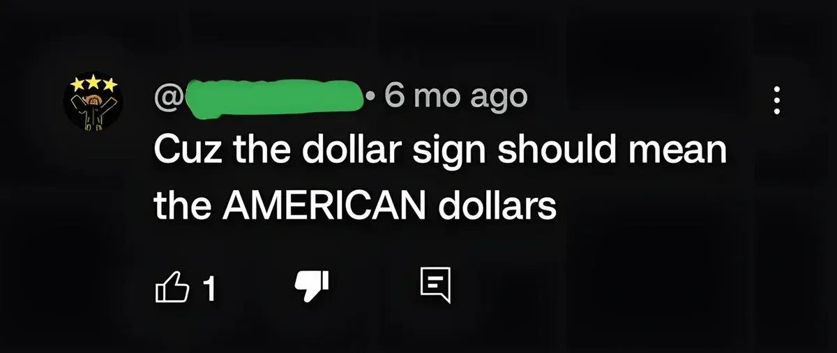 YouTube comment (username redacted, 6 mo ago). Text: "Cuz the dollar sign should mean the AMERICAN dollars"