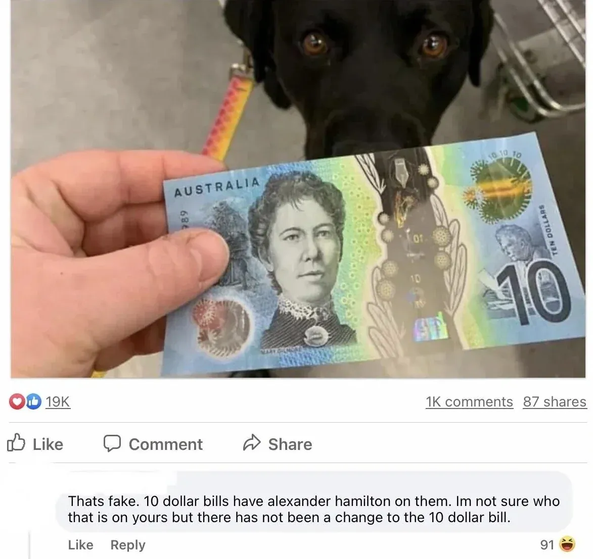 Facebook post with photo of hand holding an Australian $10 polymer banknote (blue/green with "AUSTRALIA" text and portrait of Mary Gilmore) in front of a black Labrador dog on a rainbow leash. 19K reactions (hearts and thumbs up). Like, Comment, Share buttons. Comment below (username redacted): "Thats fake. 10 dollar bills have alexander hamilton on them. Im not sure who that is on yours but there has not been a change to the 10 dollar bill." (91 laughing reactions)