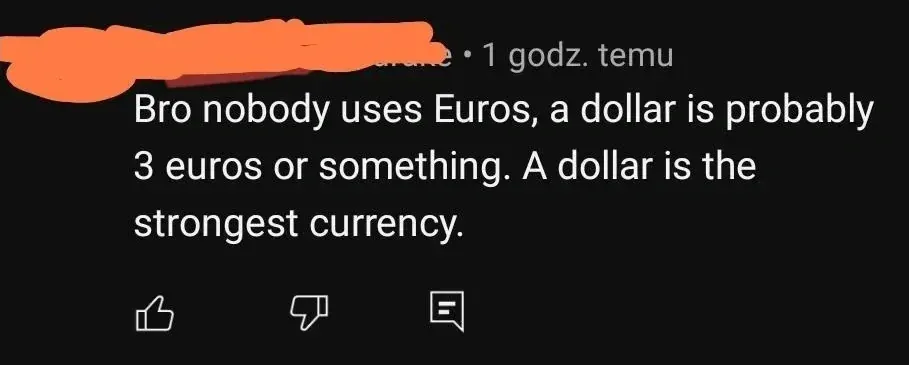 YouTube comment with Polish-language interface ("1 godz. temu" = 1 hour ago, username redacted). Text: "Bro nobody uses Euros, a dollar is probably 3 euros or something. A dollar is the strongest currency."