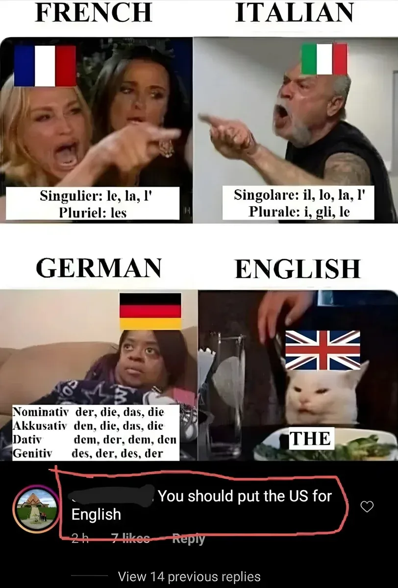 Meme using "Woman Yelling at a Cat" format comparing definite articles across languages. Top row: FRENCH (French flag, woman yelling) "Singulier: le, la, l' Pluriel: les" | ITALIAN (Italian flag, man yelling) "Singolare: il, lo, la, l' Plurale: i, gli, le". Bottom row: GERMAN (German flag, confused woman) "Nominativ der, die, das, die / Akkusativ den, die, das, die / Dativ dem, der, dem, den / Genitiv des, der, des, der" | ENGLISH (UK flag, cat at table) "THE". Instagram comment below circled in red (username redacted, 2h): "You should put the US for English". View 14 previous replies
