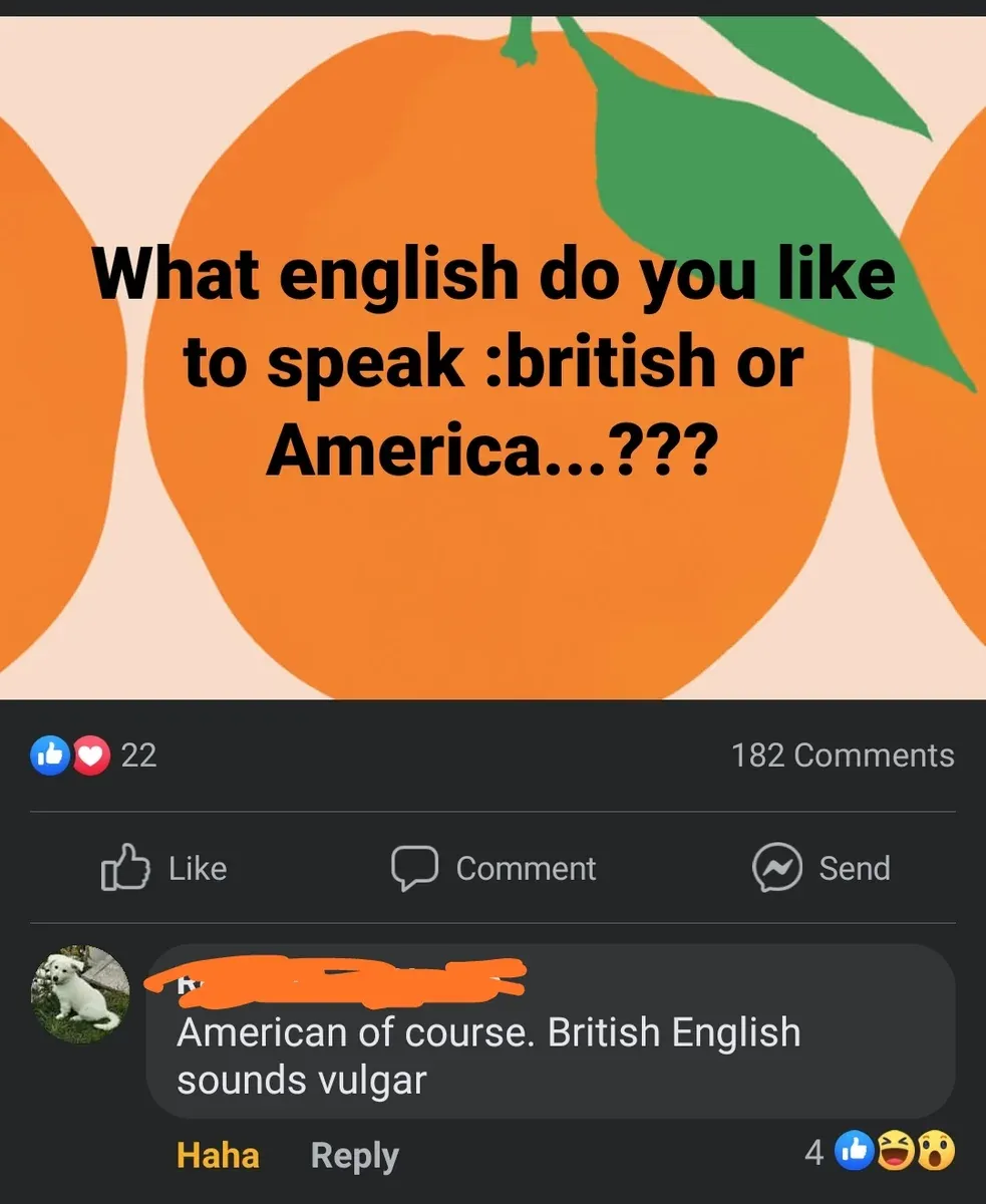 Facebook post with orange illustrated graphic asking "What english do you like to speak :british or America...???". Comment below (username redacted): "American of course. British English sounds vulgar". Haha