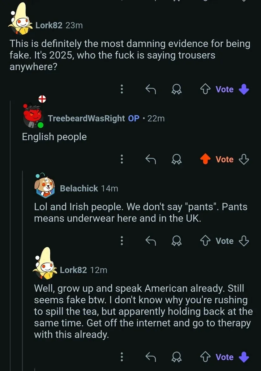 Reddit comment thread. Lork82 (banana Pikachu avatar, 23m, downvoted): "This is definitely the most damning evidence for being fake. It's 2025, who the fuck is saying trousers anywhere?" TreebeardWasRight OP (England flag devil avatar, 22m, upvoted): "English people" Belachick (dog in shield avatar, 14m): "Lol and Irish people. We don't say \"pants\". Pants means underwear here and in the UK." Lork82 (12m, downvoted): "Well, grow up and speak American already. Still seems fake btw. I don't know why you're rushing to spill the tea, but apparently holding back at the same time. Get off the internet and go to therapy with this already."