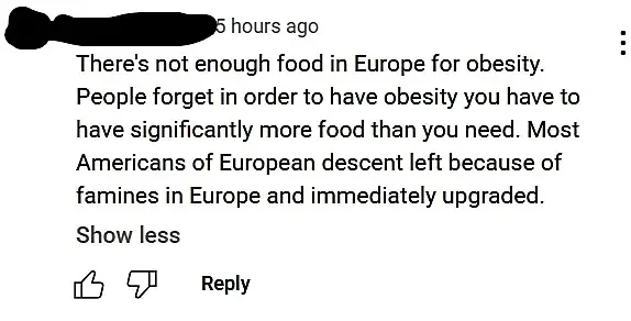 YouTube comment (username redacted, 5 hours ago). Text: "There's not enough food in Europe for obesity. People forget in order to have obesity you have to have significantly more food than you need. Most Americans of European descent left because of famines in Europe and immediately upgraded." Show less
