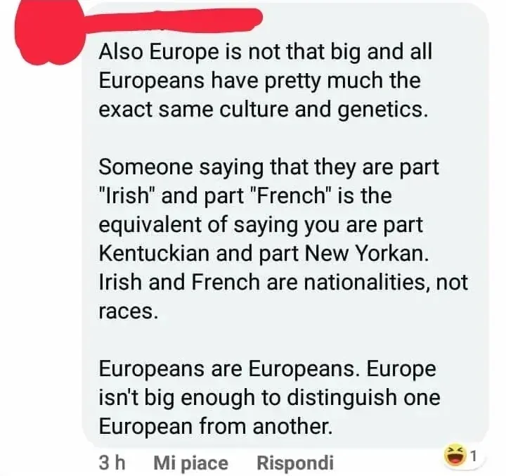 Facebook/Instagram comment with Italian-language interface ("Mi piace", "Rispondi"). username redacted, 3h, 1 laughing reaction. Text: "Also Europe is not that big and all Europeans have pretty much the exact same culture and genetics. Someone saying that they are part "Irish" and part "French" is the equivalent of saying you are part Kentuckian and part New Yorkan. Irish and French are nationalities, not races. Europeans are Europeans. Europe isn't big enough to distinguish one European from another."