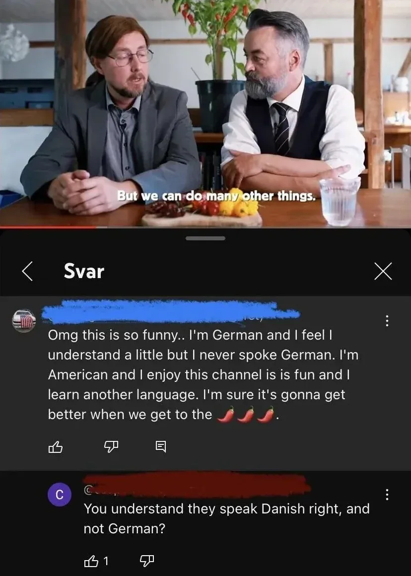 YouTube comment thread with Swedish-language interface ("Svar" header). Video thumbnail showing two men at a table with subtitle "But we can do many other things." First comment (US flag avatar, username redacted): "Omg this is so funny.. I'm German and I feel I understand a little but I never spoke German. I'm American and I enjoy this channel is is fun and I learn another language. I'm sure it's gonna get better when we get to the" with chili pepper emojis. Reply (purple username redacted): "You understand they speak Danish right, and not German?"