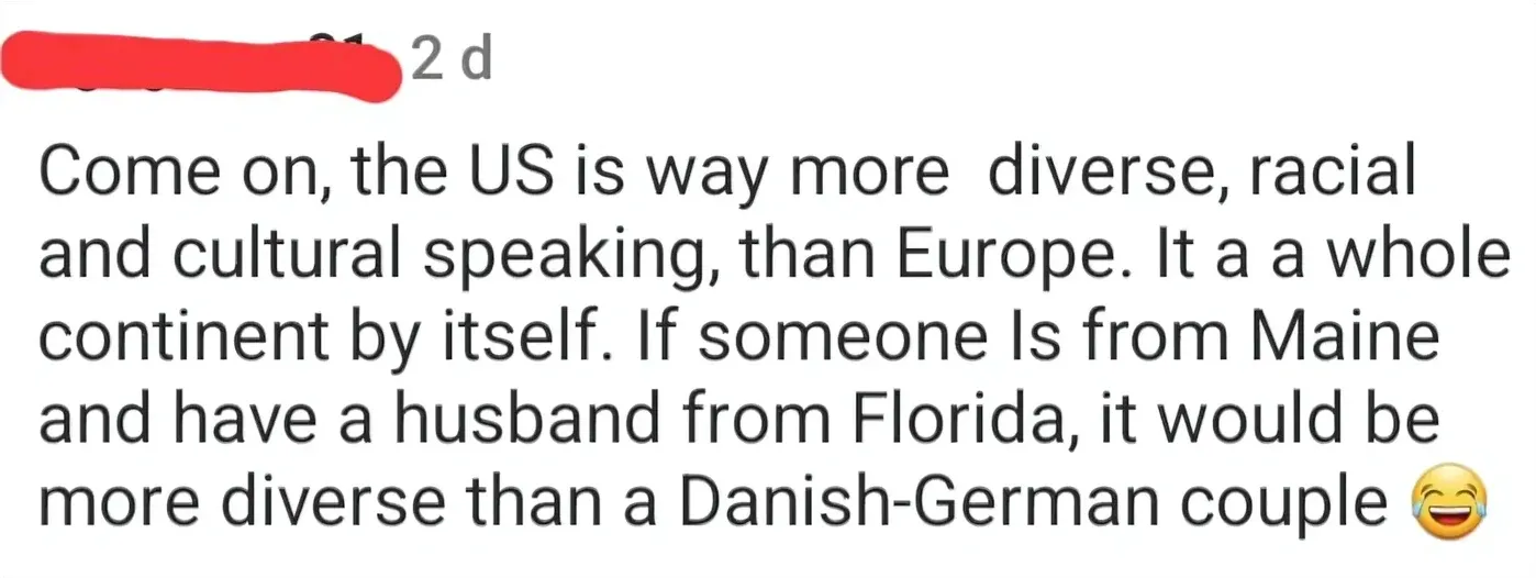Social media comment (username redacted, 2d). Text: "Come on, the US is way more diverse, racial and cultural speaking, than Europe. It a a whole continent by itself. If someone Is from Maine and have a husband from Florida, it would be more diverse than a Danish-German couple" with laughing emoji
