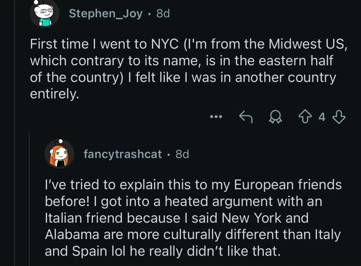 Reddit comment thread. Stephen_Joy (cartoon avatar, 8d): "First time I went to NYC (I'm from the Midwest US, which contrary to its name, is in the eastern half of the country) I felt like I was in another country entirely." Three-dot menu, Reply, Award buttons. fancytrashcat (with orange hair, 8d): "I've tried to explain this to my European friends before! I got into a heated argument with an Italian friend because I said New York and Alabama are more culturally different than Italy and Spain lol he really didn't like that."