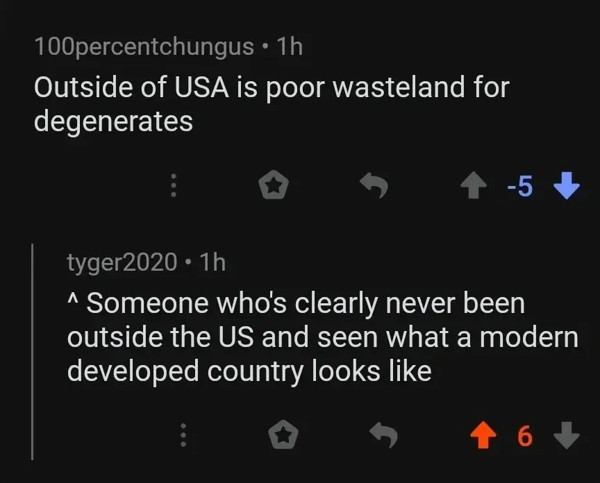 Reddit comment thread. 100percentchungus (1h, -5 votes): "Outside of USA is poor wasteland for degenerates". Reply: tyger2020 (1h): "^ Someone who's clearly never been outside the US and seen what a modern developed country looks like"