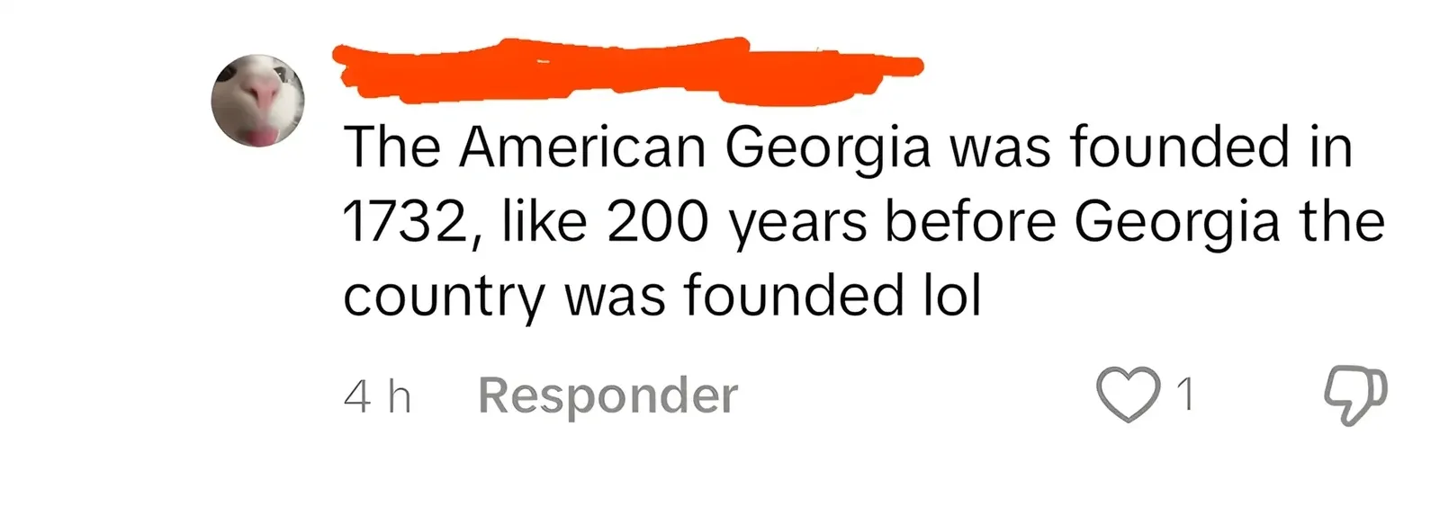 Social media comment with Spanish/Portuguese-language interface ("Responder"). username redacted. Text: "The American Georgia was founded in 200 years before Georgia the country was founded lol" 4h