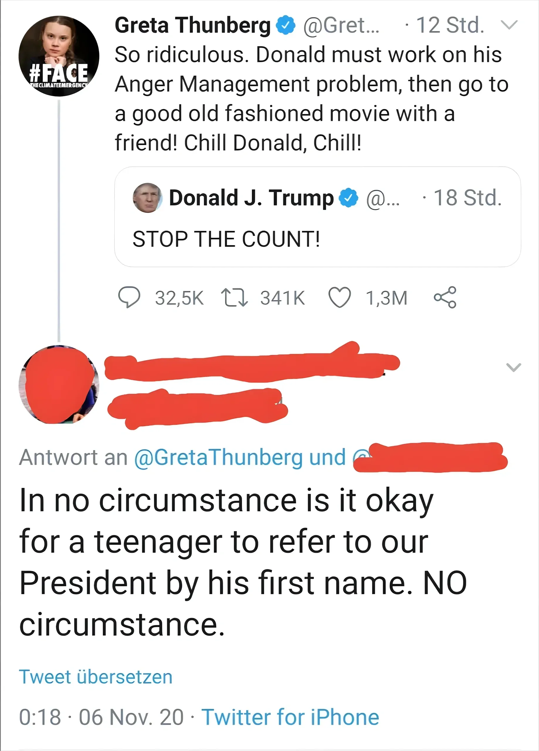 Twitter/X thread with German-language interface ("Std.", "Antwort an", "Tweet ubersetzen"). Top: Greta Thunberg (@Gret..., 12 Std.) quote-tweeting Donald J. Trump (@..., verified, 18 Std.): "STOP THE COUNT!" Greta's tweet: "So ridiculous. Donald must work on his Anger Management problem, then go to a good old fashioned movie with a friend! Chill Donald, Chill!". Reply (username redacted): "In no circumstance is it okay for a teenager to refer to our President by his first name. NO circumstance." 0:18, 06 Nov. 20