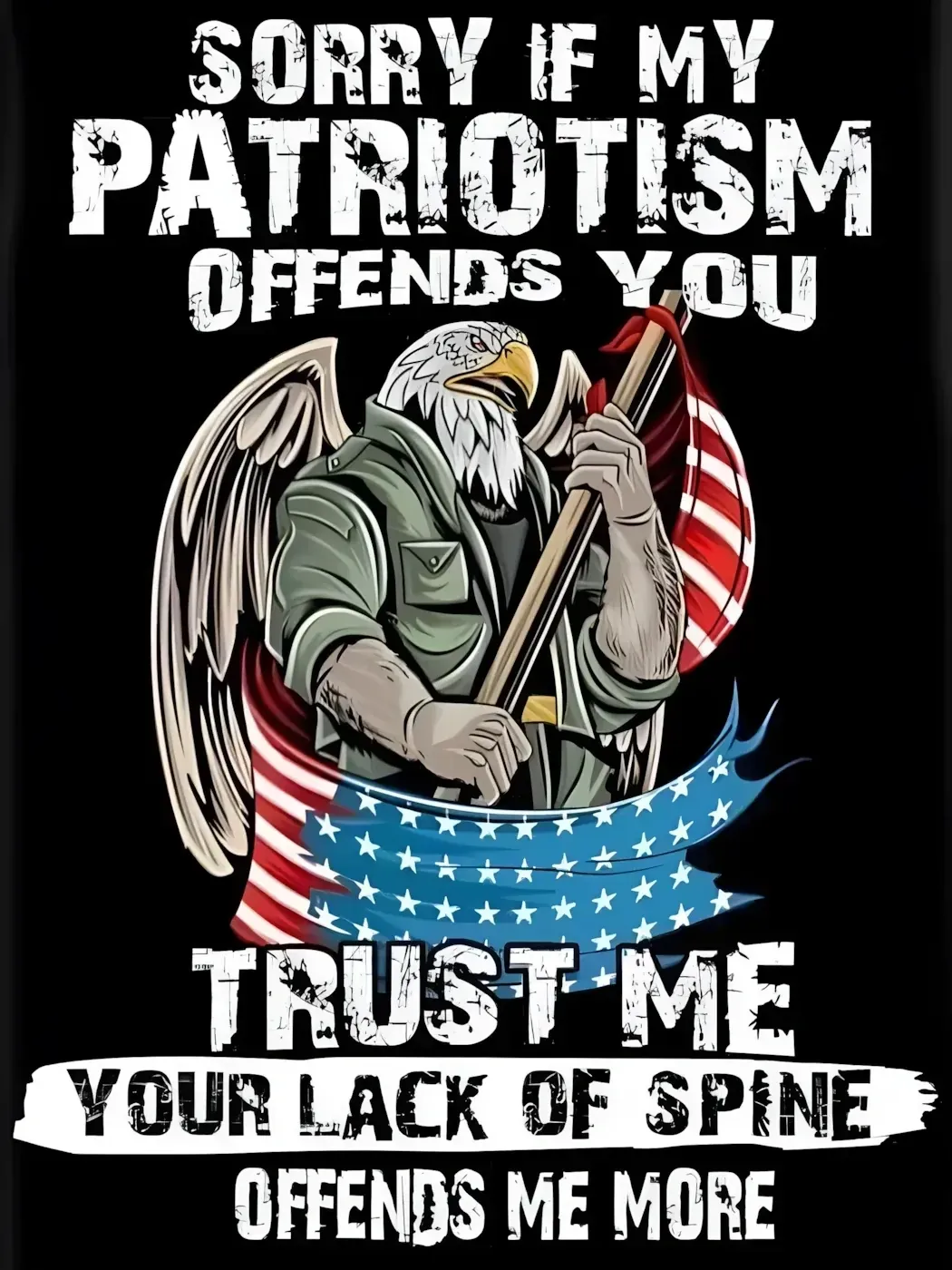Patriotic meme. Illustration of a bald eagle wearing military armour, holding a large American flag. Text: "SORRY IF MY PATRIOTISM OFFENDS YOU TRUST ME YOUR LACK OF SPINE OFFENDS ME MORE"