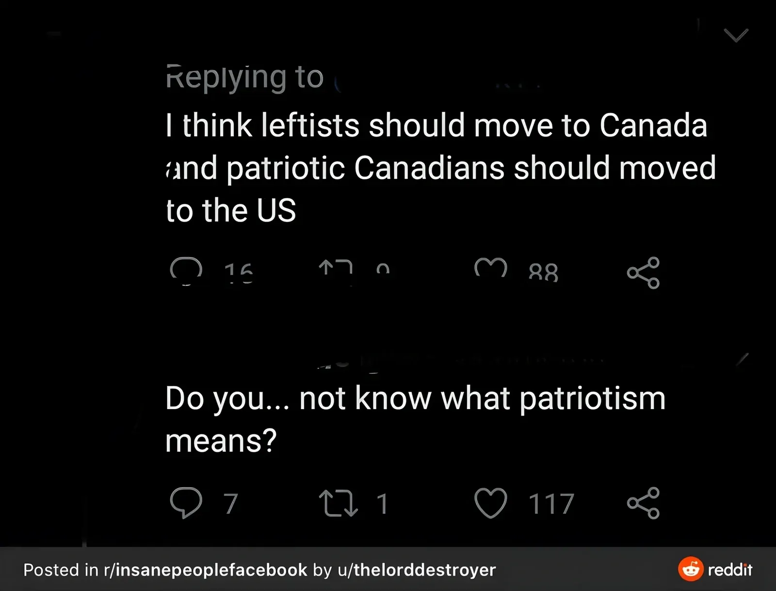 Twitter/X thread, posted in r/insanepeoplefacebook by u/thelorddestroyer. Top tweet (username redacted): "I think leftists should move to Canada and patriotic Canadians should moved to the US". Reply (username redacted): "Do you... not know what patriotism means?"