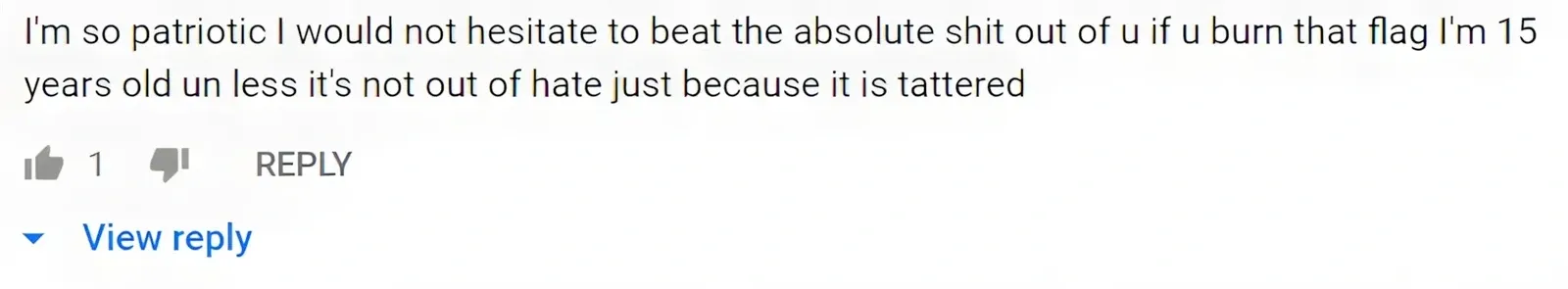 YouTube comment ("View reply"). Comment: "I'm so patriotic I would not hesitate to beat the absolute shit out of u if u burn that flag I'm 15 years old un less it's not out of hate just because it is tattered"