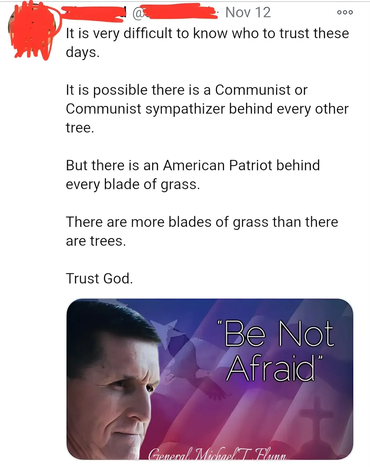 Twitter/X post (username redacted, Nov 12). Text: "It is very difficult to know who to trust these days. It is possible there is a Communist or Communist sympathizer behind every other tree. But there is an American Patriot behind every blade of grass. There are more blades of grass than there are trees. Trust God." Attached image of General Michael T. Flynn with text "Be Not Afraid" and American flag/dove imagery