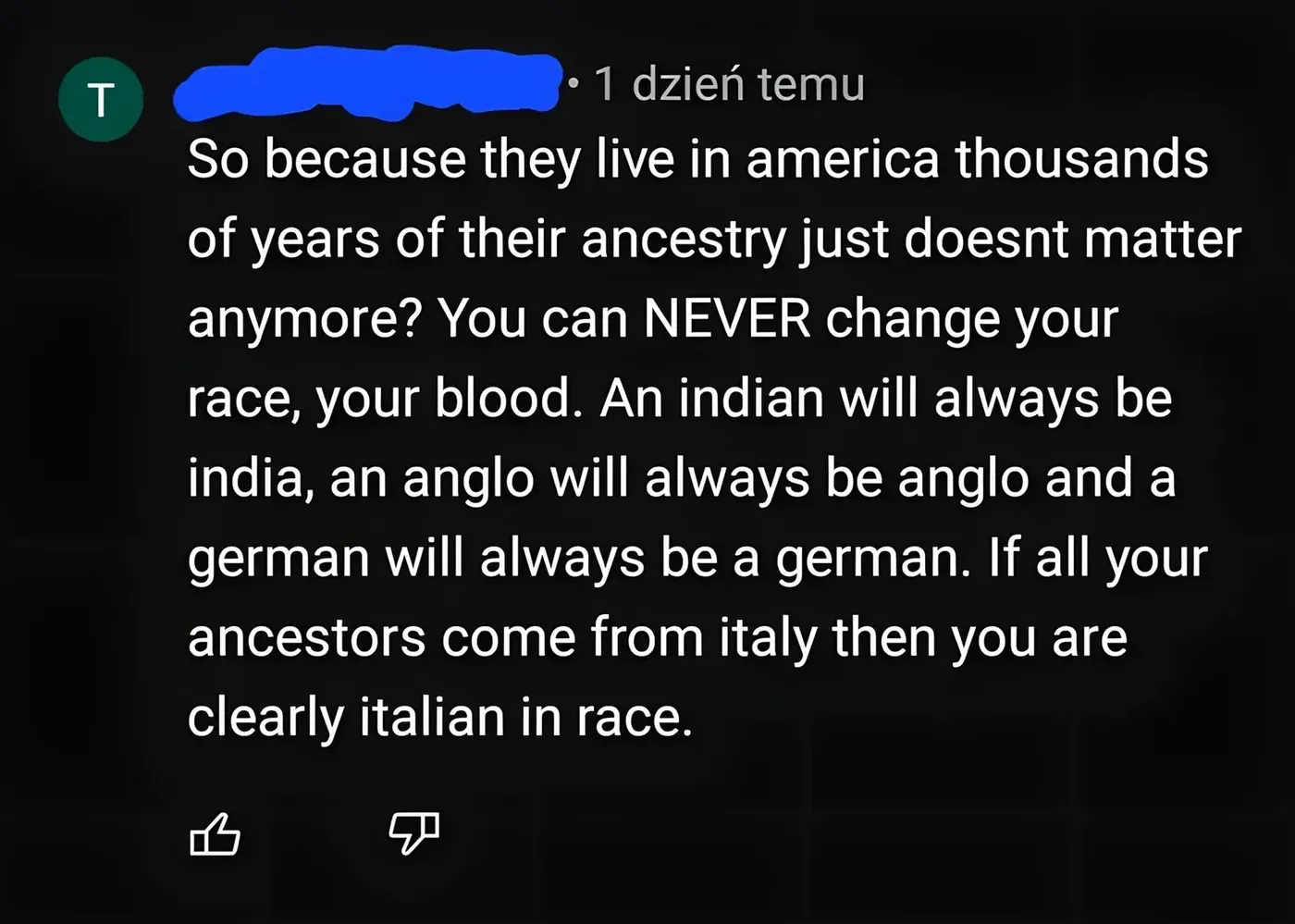 YouTube comment with Polish-language interface ("1 dzien temu"). username redacted. Comment: "So because they live in america thousands of years of their ancestry just doesnt matter anymore? You can NEVER change your race, your blood. An indian will always be india, an anglo will always be anglo and a german will always be a german. If all your ancestors come from italy then you are clearly italian in race."