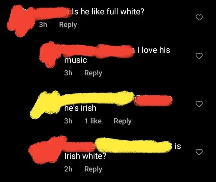 TikTok/Instagram comment thread. Four comments about a musician. First (username redacted, 3h): "Is he like full white?" Second (username redacted, 3h): "I love his music". Third (username redacted, 3h): "he's irish". Fourth (username redacted, 2h): "is Irish white?"