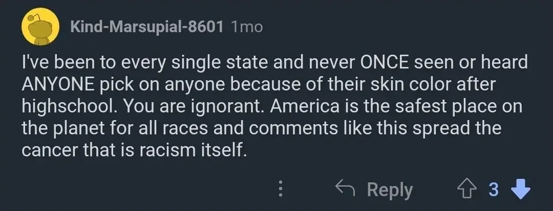 Reddit comment. Kind-Marsupial-8601 (1mo, 3 downvotes): "I've been to every single state and never ONCE seen or heard ANYONE pick on anyone because of their skin color after highschool. You are ignorant. America is the safest place on the planet for all races and comments like this spread the cancer that is racism itself."