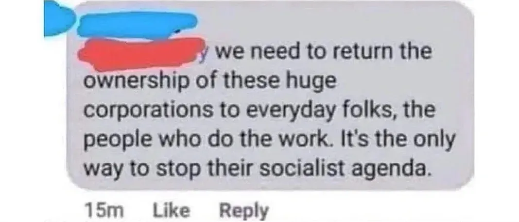 Facebook comment (username redacted, 15m). Comment: "we need to return the ownership of these huge corporations to everyday folks, the people who do the work. It's the only way to stop their socialist agenda."