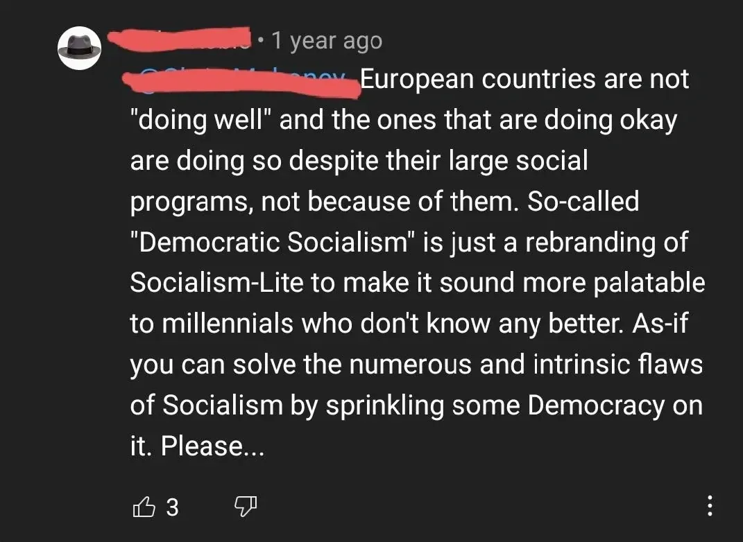 YouTube comment (fedora/hat avatar, username redacted, 1 year ago). Comment: "European countries are not 'doing well' and the ones that are doing okay are doing so despite their large social programs, not because of them. So-called 'Democratic Socialism' is just a rebranding of Socialism-Lite to make it sound more palatable to millennials who don't know any better. As-if you can solve the numerous and intrinsic flaws of Socialism by sprinkling some Democracy on it. Please..."
