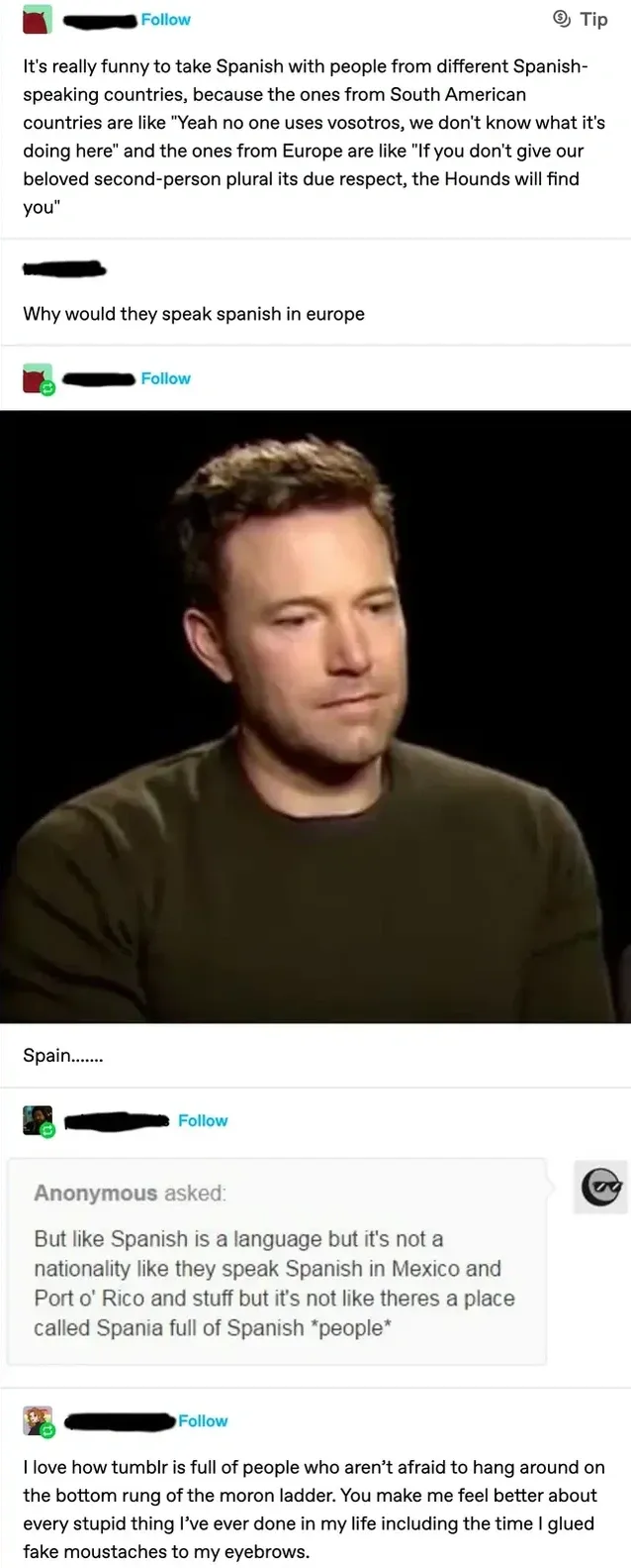 Tumblr thread with multiple posts (username redacted). Top post about taking Spanish with people from different Spanish-speaking countries - South Americans like "Yeah no one uses vosotros, we don't know what it's doing here" and Europeans like "If you don't give our beloved second-person plural its due respect, the Hounds will find you". Reply: "Why would they speak spanish in europe". Next post with sad Ben Affleck photo and caption "Spain.......". Then an Anonymous Tumblr ask: "But like Spanish is a language but it's not a nationality like they speak Spanish in Mexico and Port o' Rico and stuff but it's not like theres a place called Spania full of Spanish *people*". Reply: "I love how tumblr is full of people who aren't afraid to hang around on the bottom rung of the moron ladder. You make me feel better about every stupid thing I've ever done in my life including the time I glued fake moustaches to my eyebrows."