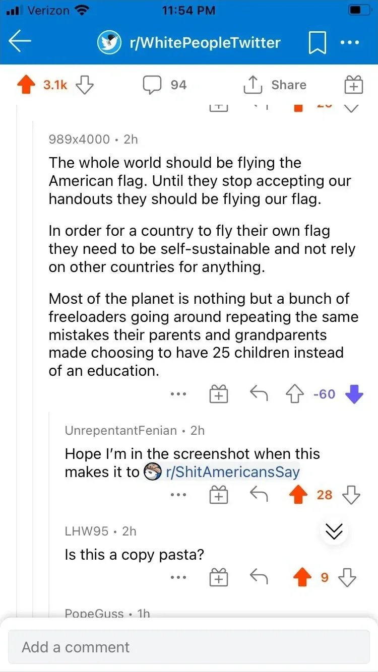 Reddit mobile app screenshot from r/WhitePeopleTwitter. User 989x4000 (2h): "The whole world should be flying the American flag. Until they stop accepting our handouts they should be flying our flag. In order for a country to fly their own flag they need to be self-sustainable and not rely on other countries for anything. Most of the planet is nothing but a bunch of freeloaders going around repeating the same mistakes their parents and grandparents made choosing to have 25 children instead of an education." (-60 downvotes). Reply from UnrepentantFenian (2h): "Hope I'm in the screenshot when this makes it to r/ShitAmericansSay". Reply from LHW95 (2h): "Is this a copy pasta?"